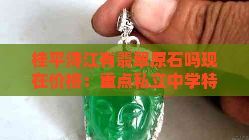 桂平浔江有翡翠原石吗现在价格：重点私立中学特色鱼种与环境揭秘