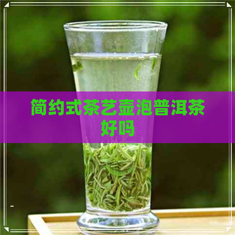 简约式茶艺壶泡普洱茶好吗