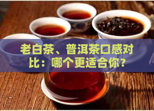 老白茶、普洱茶口感对比：哪个更适合你？