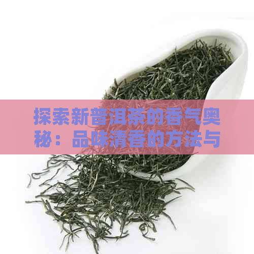 探索新普洱茶的香气奥秘：品味清香的方法与技巧