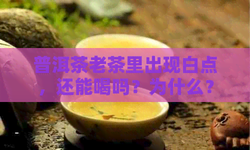 普洱茶老茶里出现白点，还能喝吗？为什么？