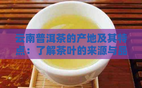 云南普洱茶的产地及其特点：了解茶叶的来源与品质