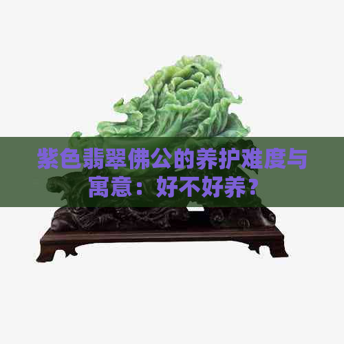 紫色翡翠佛公的养护难度与寓意：好不好养？