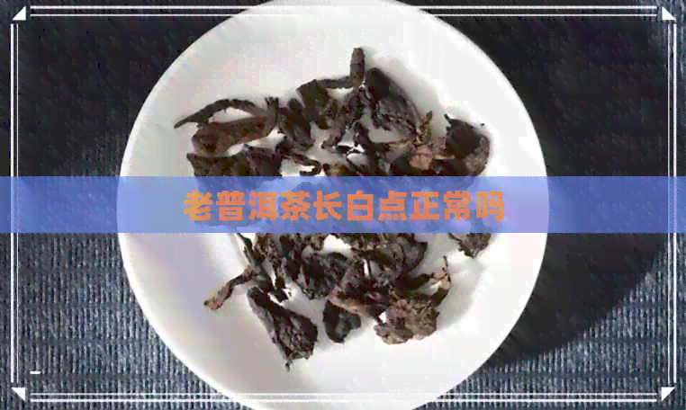 老普洱茶长白点正常吗