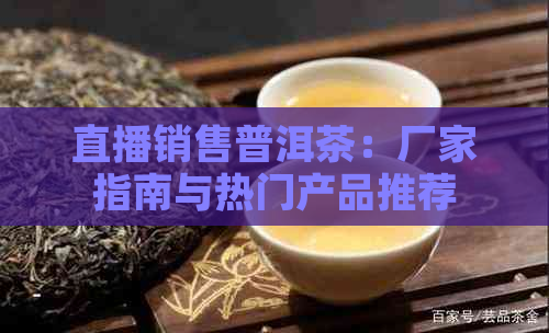 直播销售普洱茶：厂家指南与热门产品推荐