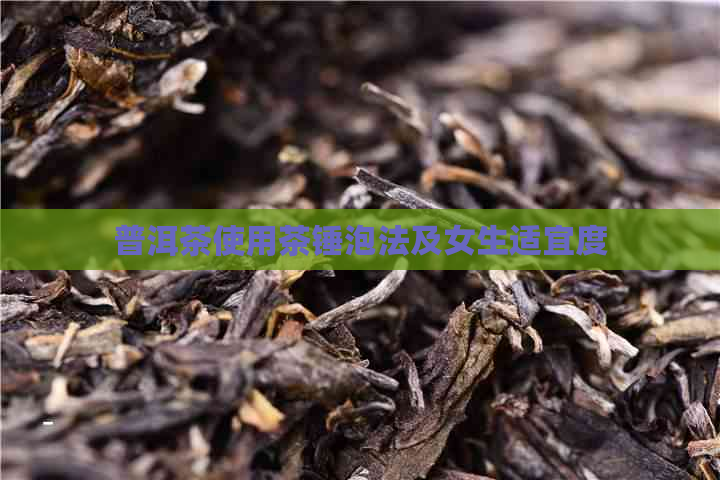 普洱茶使用茶锤泡法及女生适宜度