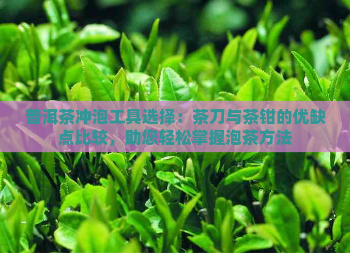 普洱茶冲泡工具选择：茶刀与茶钳的优缺点比较，助您轻松掌握泡茶方法