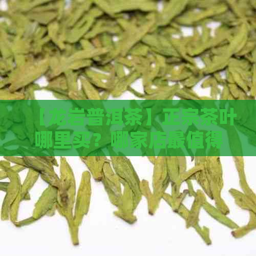 【龙岩普洱茶】正宗茶叶哪里买？哪家店最值得信？