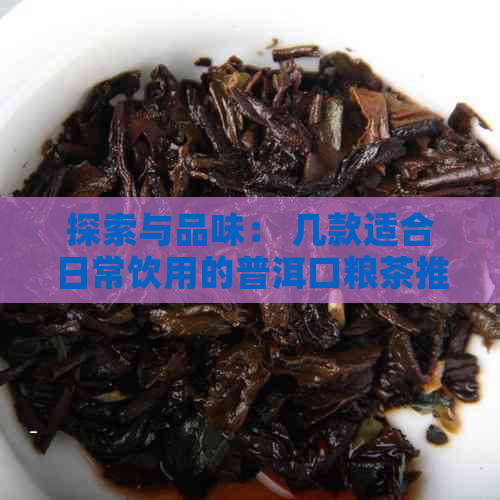 探索与品味： 几款适合日常饮用的普洱口粮茶推荐