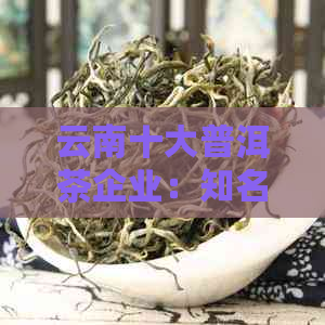 云南十大普洱茶企业：知名茶叶与大厂排行