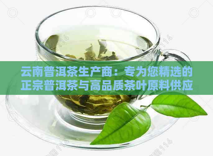 云南普洱茶生产商：专为您精选的正宗普洱茶与高品质茶叶原料供应商