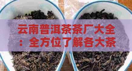 云南普洱茶茶厂大全：全方位了解各大茶厂、产品与生产工艺