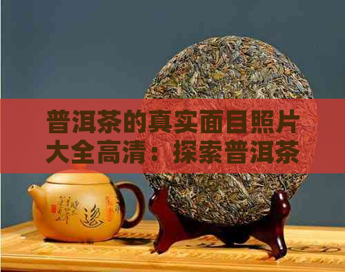 普洱茶的真实面目照片大全高清：探索普洱茶的魅力与真相