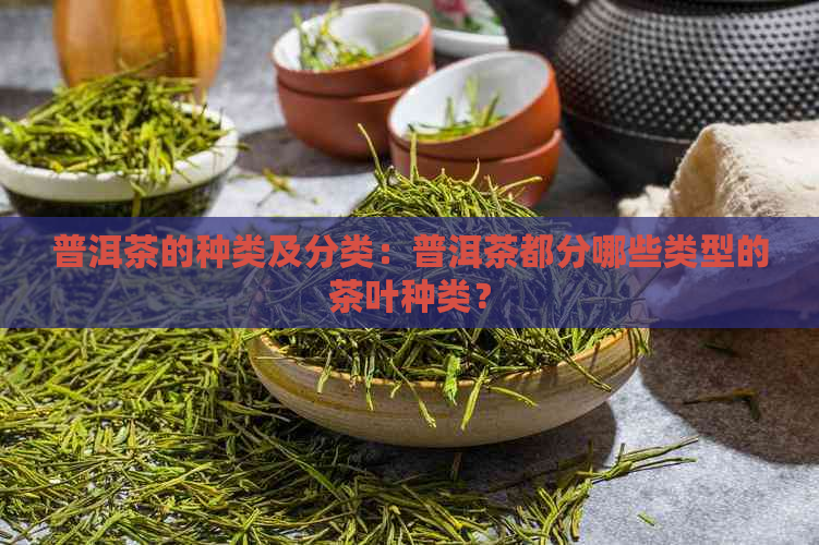 普洱茶的种类及分类：普洱茶都分哪些类型的茶叶种类？