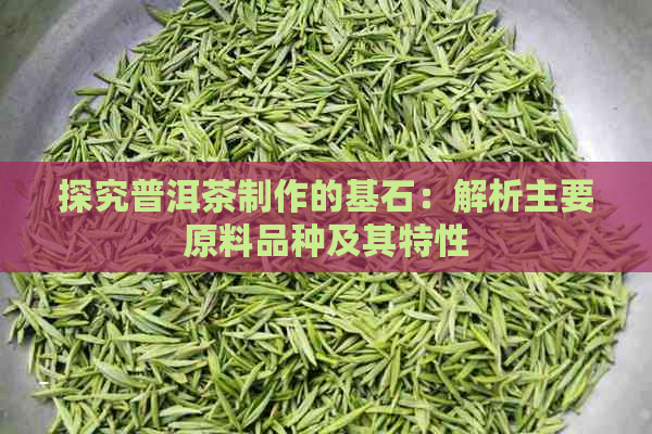 探究普洱茶制作的基石：解析主要原料品种及其特性