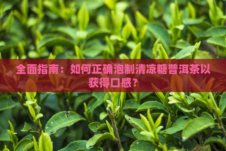 全面指南：如何正确泡制清凉糖普洱茶以获得口感？