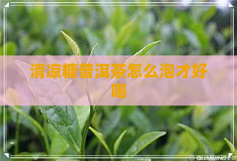 清凉糖普洱茶怎么泡才好喝