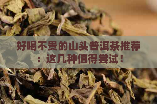 好喝不贵的山头普洱茶推荐：这几种值得尝试！