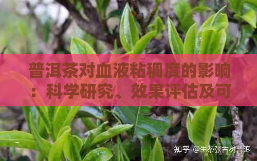 普洱茶对血液粘稠度的影响：科学研究、效果评估及可能的健益处全面解析