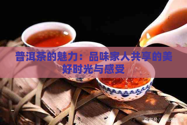 普洱茶的魅力：品味家人共享的美好时光与感受