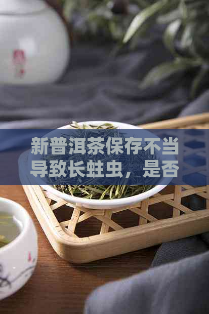 新普洱茶保存不当导致长蛀虫，是否还能安全饮用？女生喝多少合适？