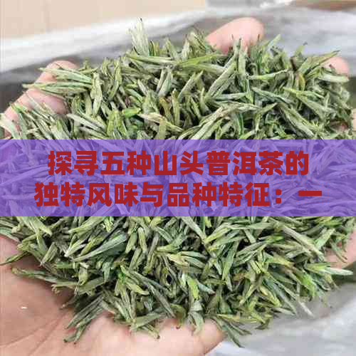 探寻五种山头普洱茶的独特风味与品种特征：一篇全面解析普洱茶分类的指南