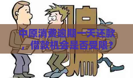 中原消费逾期一天还款，借款机会是否受限？