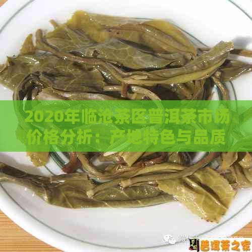 2020年临沧茶区普洱茶市场价格分析：产地特色与品质影响