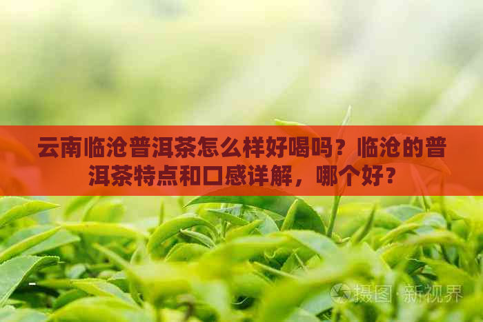 云南临沧普洱茶怎么样好喝吗？临沧的普洱茶特点和口感详解，哪个好？