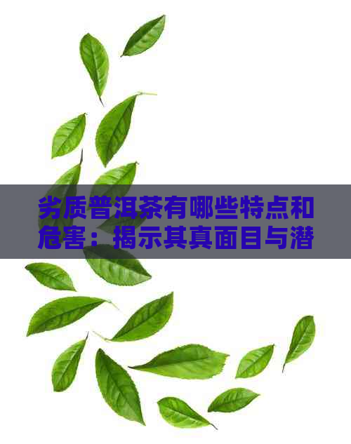 劣质普洱茶有哪些特点和危害：揭示其真面目与潜在风险