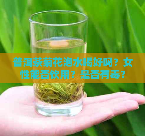 普洱茶菊花泡水喝好吗？女性能否饮用？是否有？