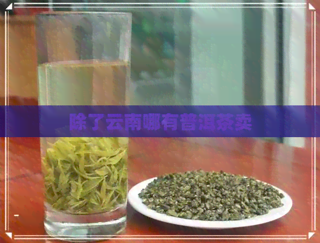 除了云南哪有普洱茶卖