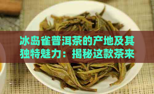 冰岛雀普洱茶的产地及其独特魅力：揭秘这款茶来自何处