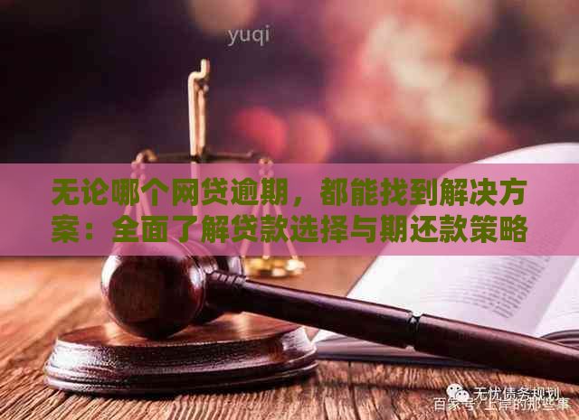 无论哪个网贷逾期，都能找到解决方案：全面了解贷款选择与期还款策略