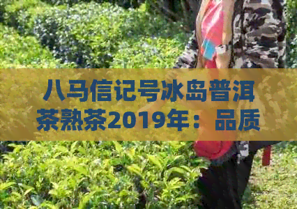 八马信记号冰岛普洱茶熟茶2019年：品质上乘的老茶头，口感醇厚，值得品尝！