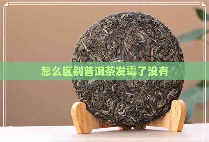 怎么区别普洱茶发霉了没有