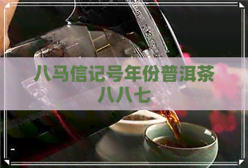 八马信记号年份普洱茶八八七