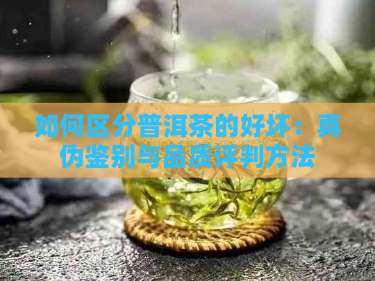 如何区分普洱茶的好坏：真伪鉴别与品质评判方法