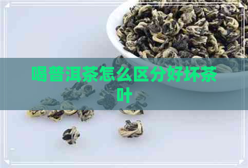 喝普洱茶怎么区分好坏茶叶