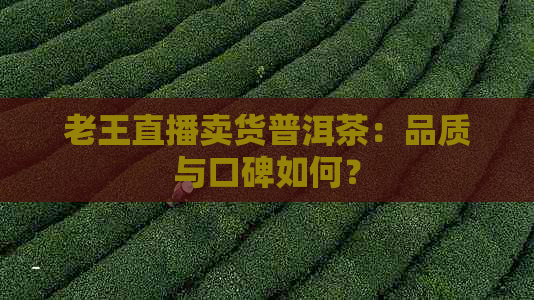 老王直播卖货普洱茶：品质与口碑如何？