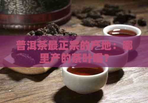 普洱茶最正宗的产地：哪里产的茶叶喝？