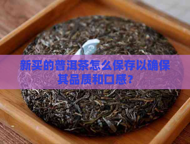 新买的普洱茶怎么保存以确保其品质和口感？