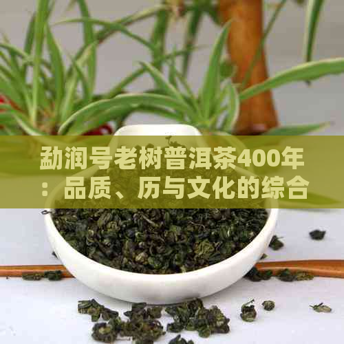 勐润号老树普洱茶400年：品质、历与文化的综合探索