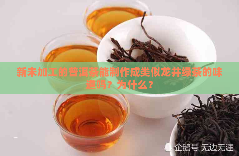 新未加工的普洱茶能制作成类似龙井绿茶的味道吗？为什么？