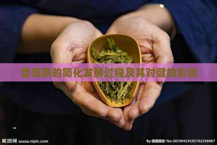 普洱茶的简化发酵过程及其对健的影响