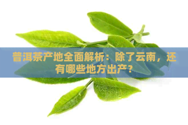 普洱茶产地全面解析：除了云南，还有哪些地方出产？