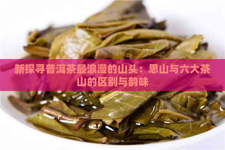 新探寻普洱茶最浪漫的山头：思山与六大茶山的区别与韵味