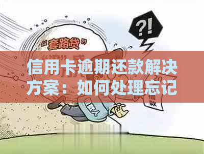 信用卡逾期还款解决方案：如何处理忘记还款导致的逾期问题