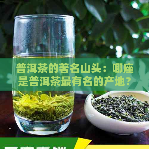 普洱茶的著名山头：哪座是普洱茶最有名的产地？