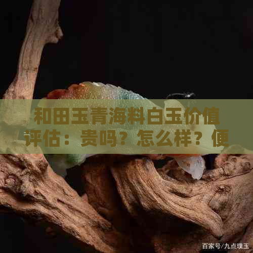 和田玉青海料白玉价值评估：贵吗？怎么样？便宜吗？